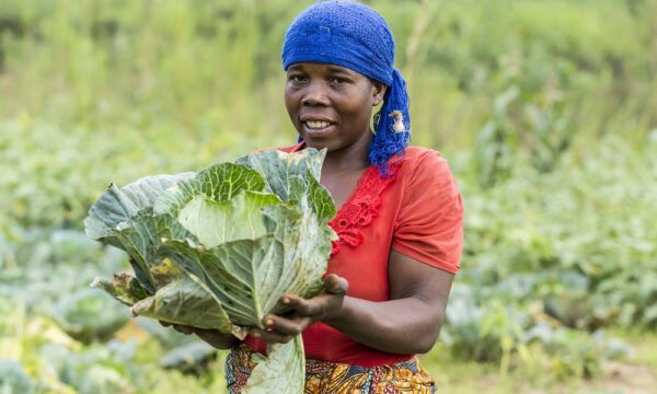 Woman in field