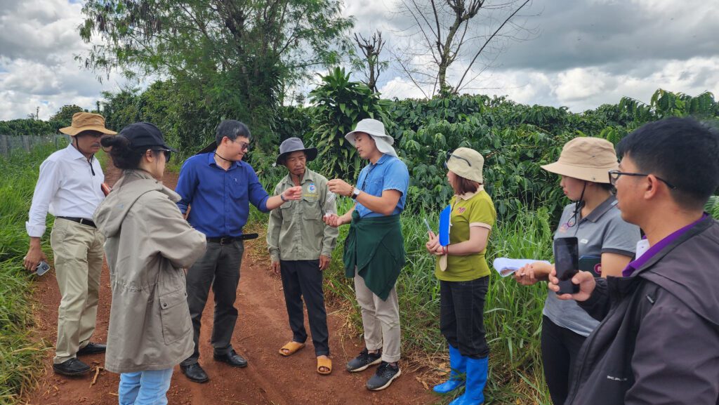 Project team members and local smallholder farmerd examine a pest or crop specimen alongside a lush coffee plantation in Vietnam