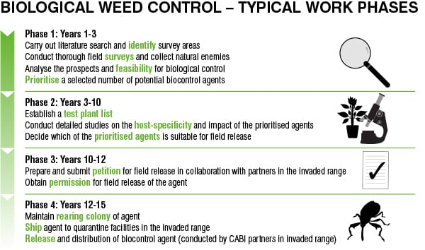 biocontrol agents vs invasive species biocontrol agents vs invasive species
