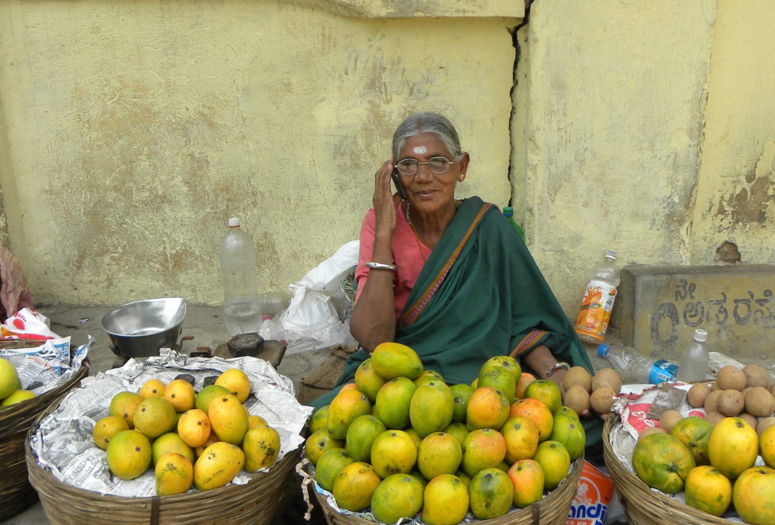 Fruit Seller Woman on Mobile