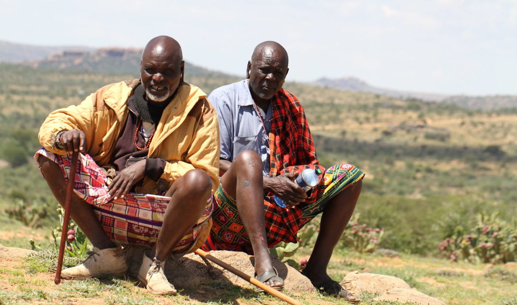 Masai men with Opuntia Stricta cactus in Laikipia