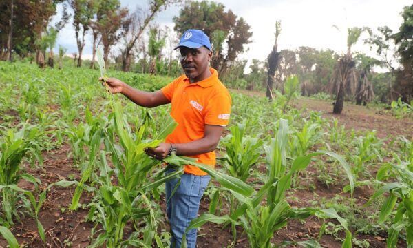 van was in South Sudan to assist farmers to manage FAW (1)