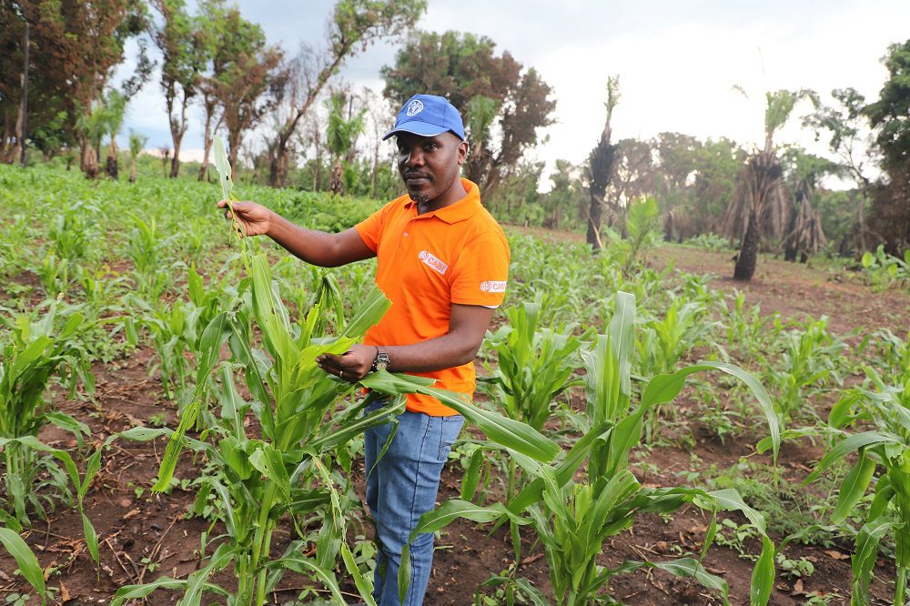 van was in South Sudan to assist farmers to manage FAW (1)