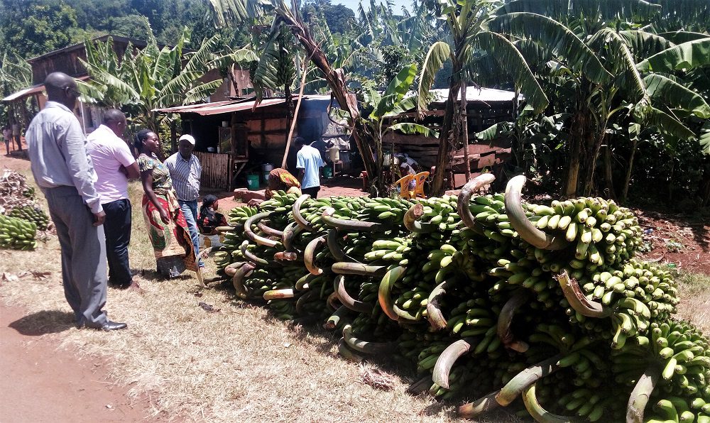 Mamsera Market, Rombo_Tanzania 2019_By Daphine Kamusingize
