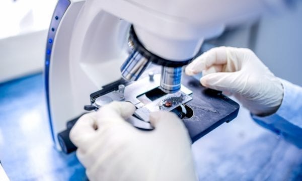 close up of microscope and sample