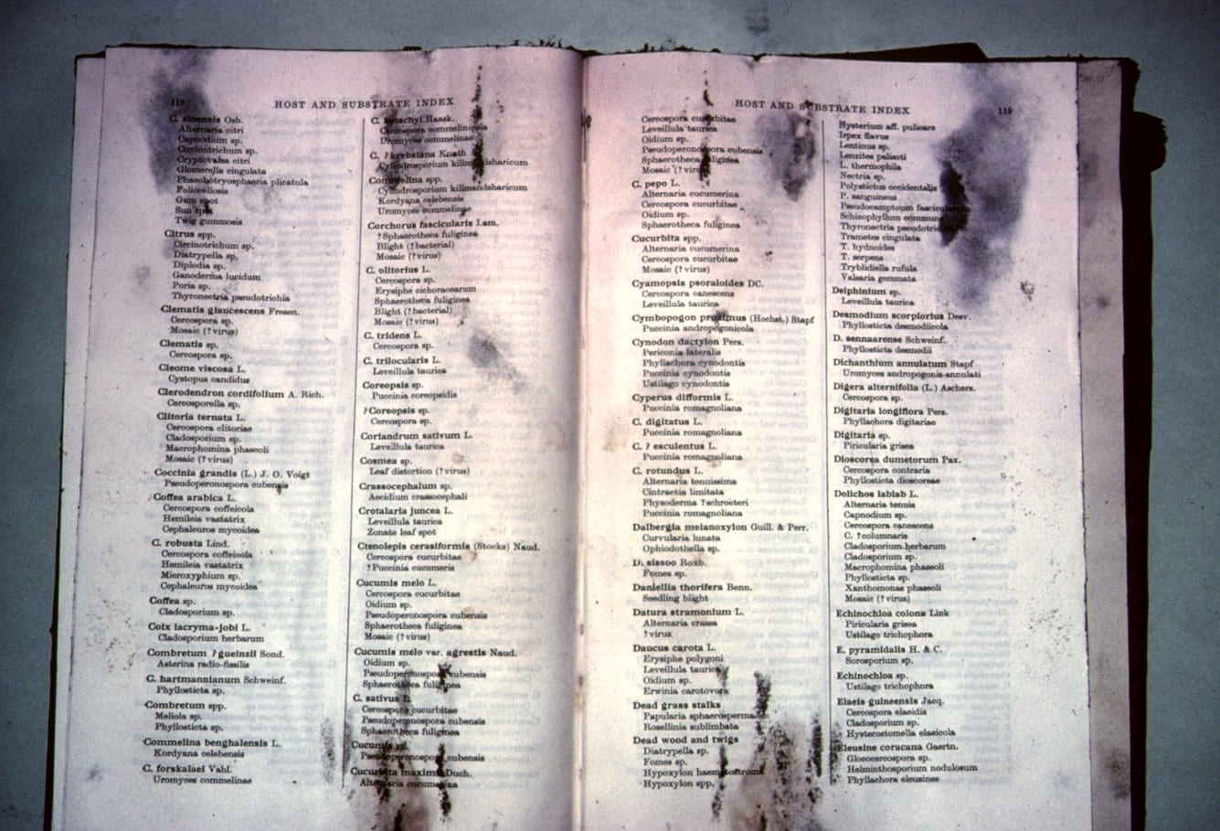 mouldy-book Mouldy book
