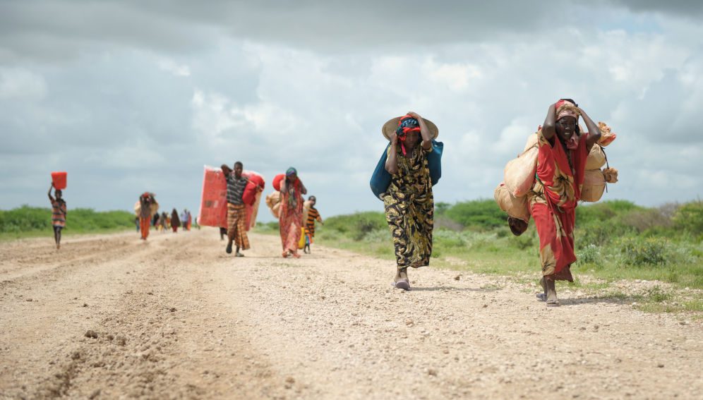 Migration_road