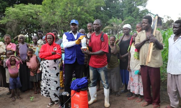FAW South Sudan 1