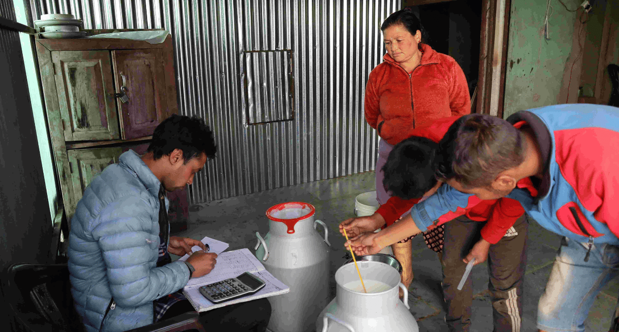 Nepal dairy