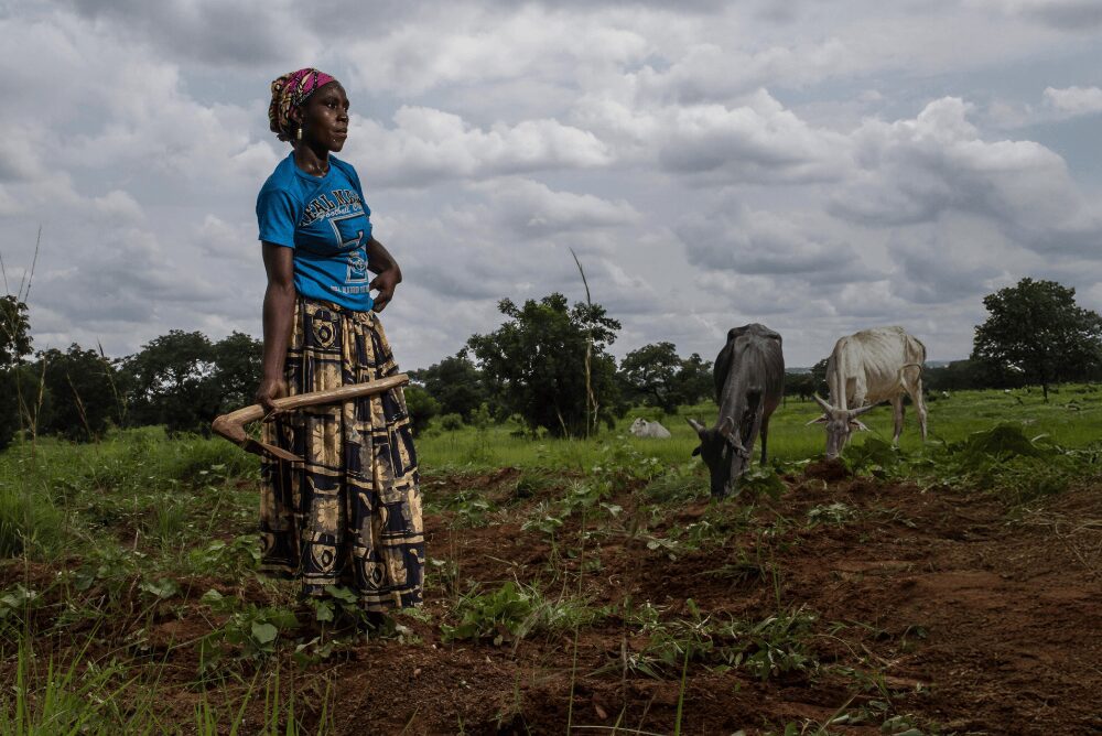 One Health Research Roadmap featured image 1000x668 (1)