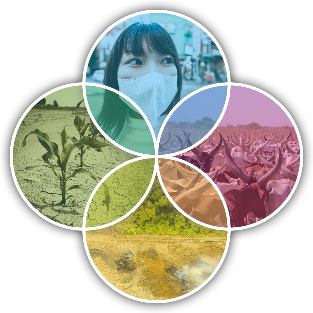 One_Health_Venn One_Health_Venn