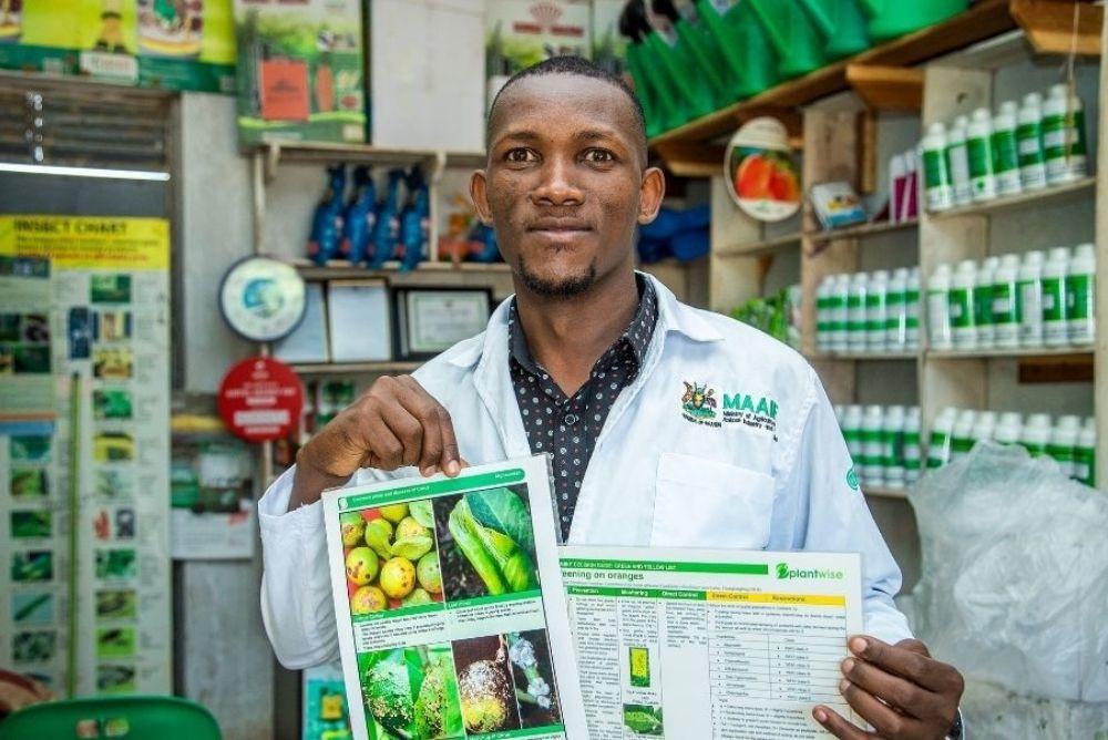 PWPlus blog 1000x668