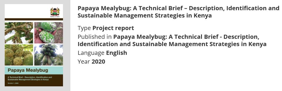 Papaya mealybug tech brief