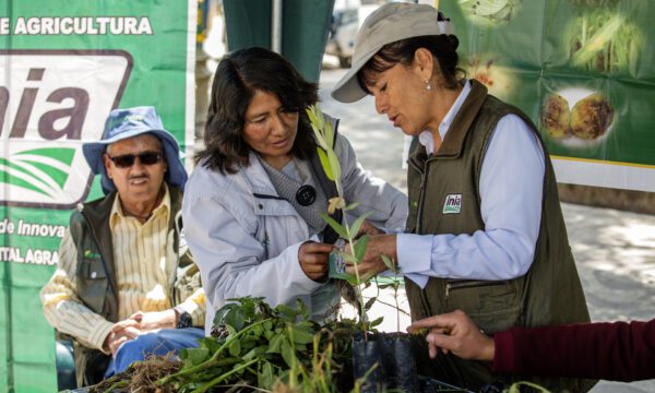 Plantwise Peru