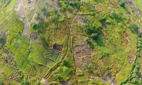 Aerial photography of green grass field.