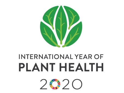 Plant Health Plant health 2020