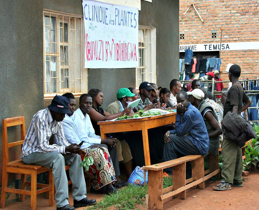 Plant clinic Rwanda1
