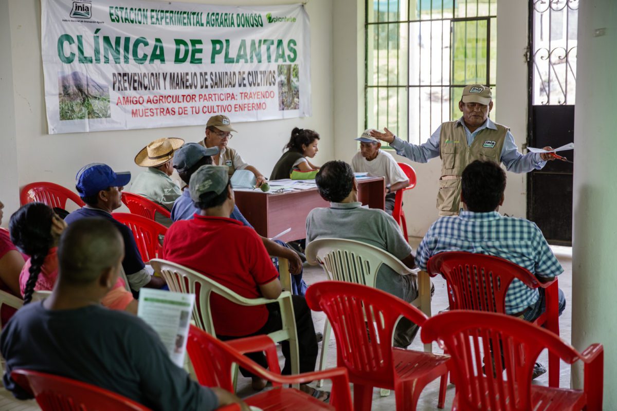 Plantwise helping farmers loses less and feed more Plantwise helping farmers loses less and feed more