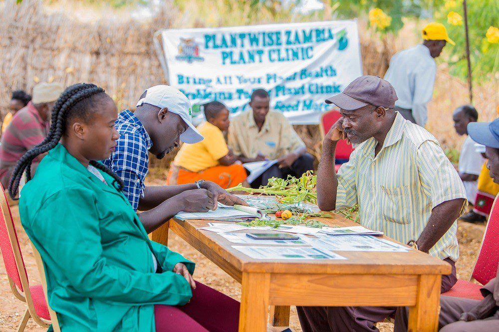 Plant clinic
