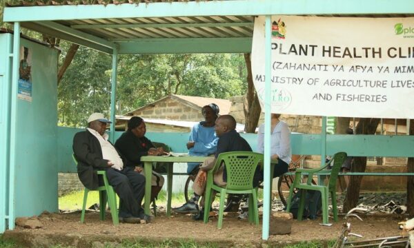 Plant clinics
