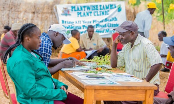 Plantwise Zambia