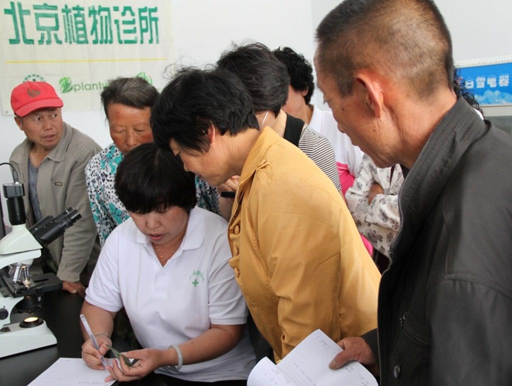 Plantwise clinic - Beijing