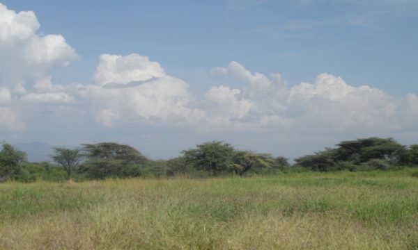 A restored grassland in Baringo County (Credit: Ms. Purity Rima Mbaabu)