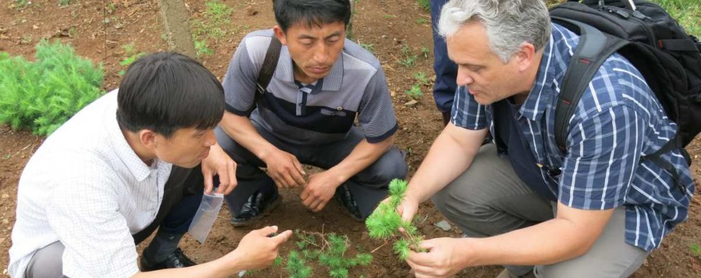 Sampling tree seedlings, Yontan County Nursery, DPRK