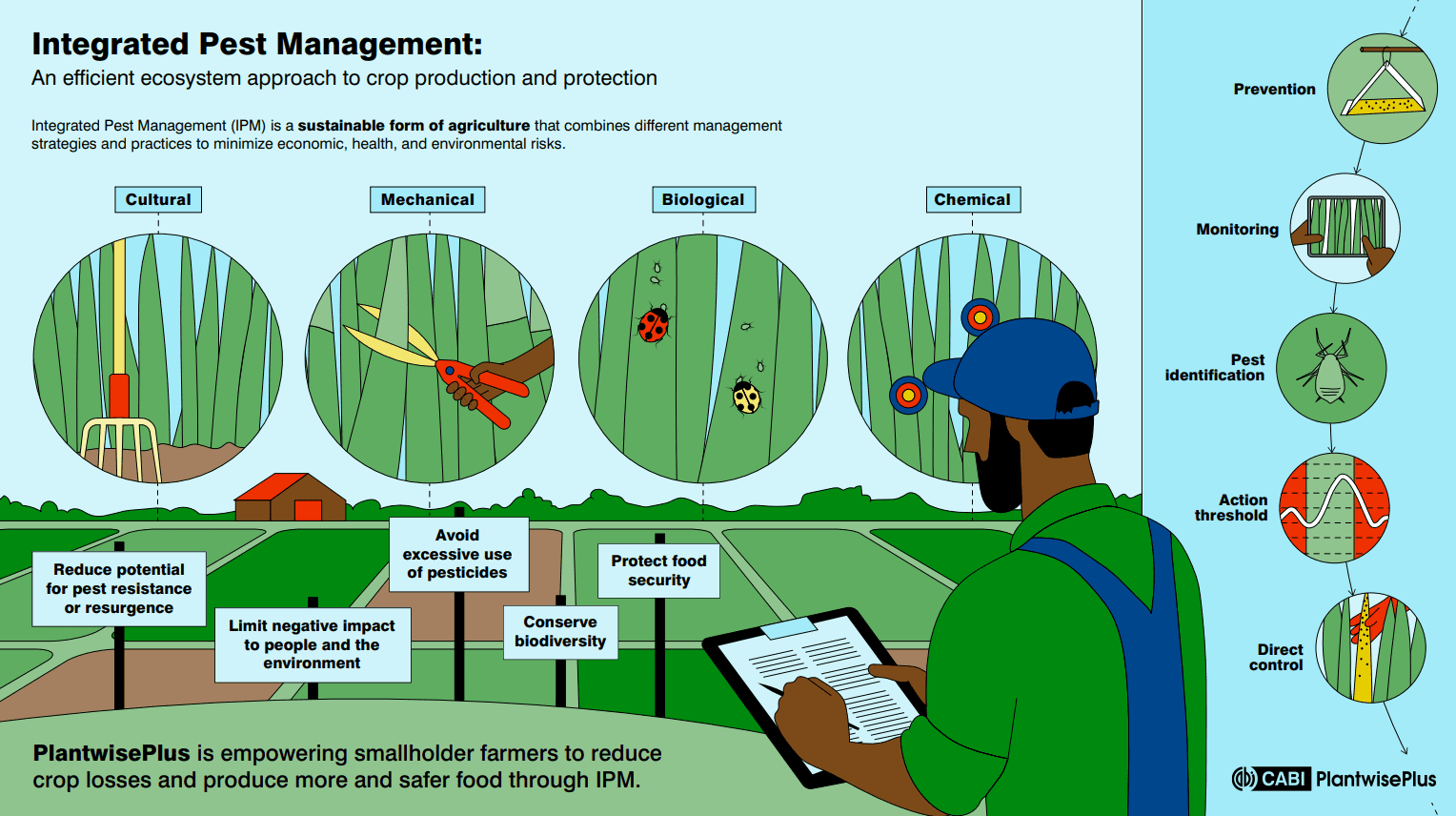 PlantwisePlus IPM infographic PlantwisePlus IPM infographic