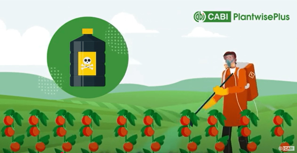 PlantwisePlus PRR animation still PlantwisePlus PRR animation still