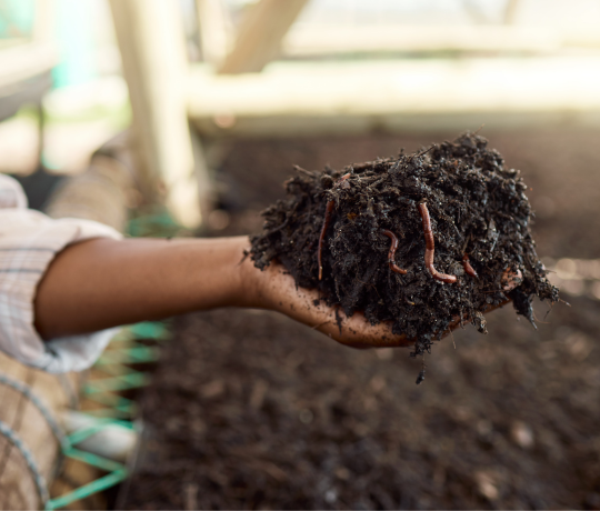 Sustainable Soil Management Practices