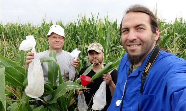 CABI Scientist in maize field with students