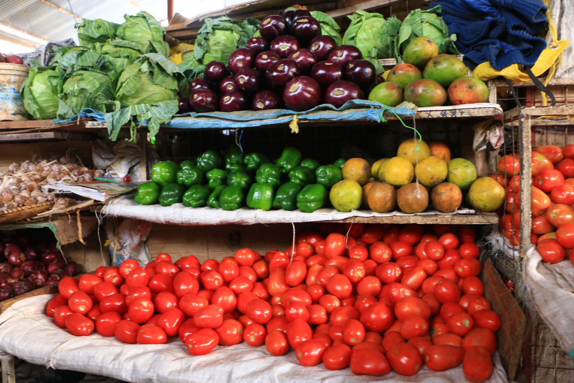 TZ F&V TZ F&V