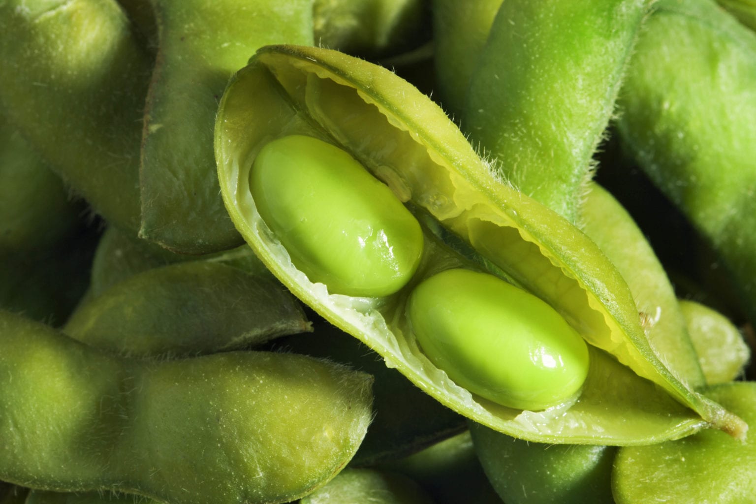 Two beans in a pod