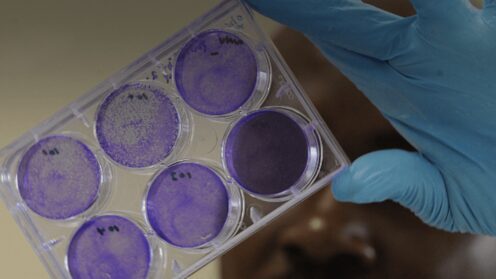 WHO webinar 2 December