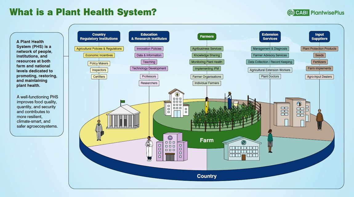 What is a plant health system CABI PlantwisePlus