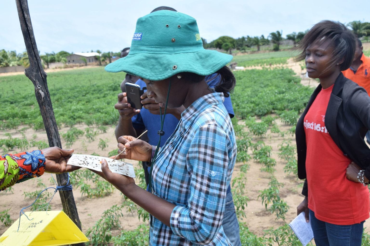 Scientists in the field