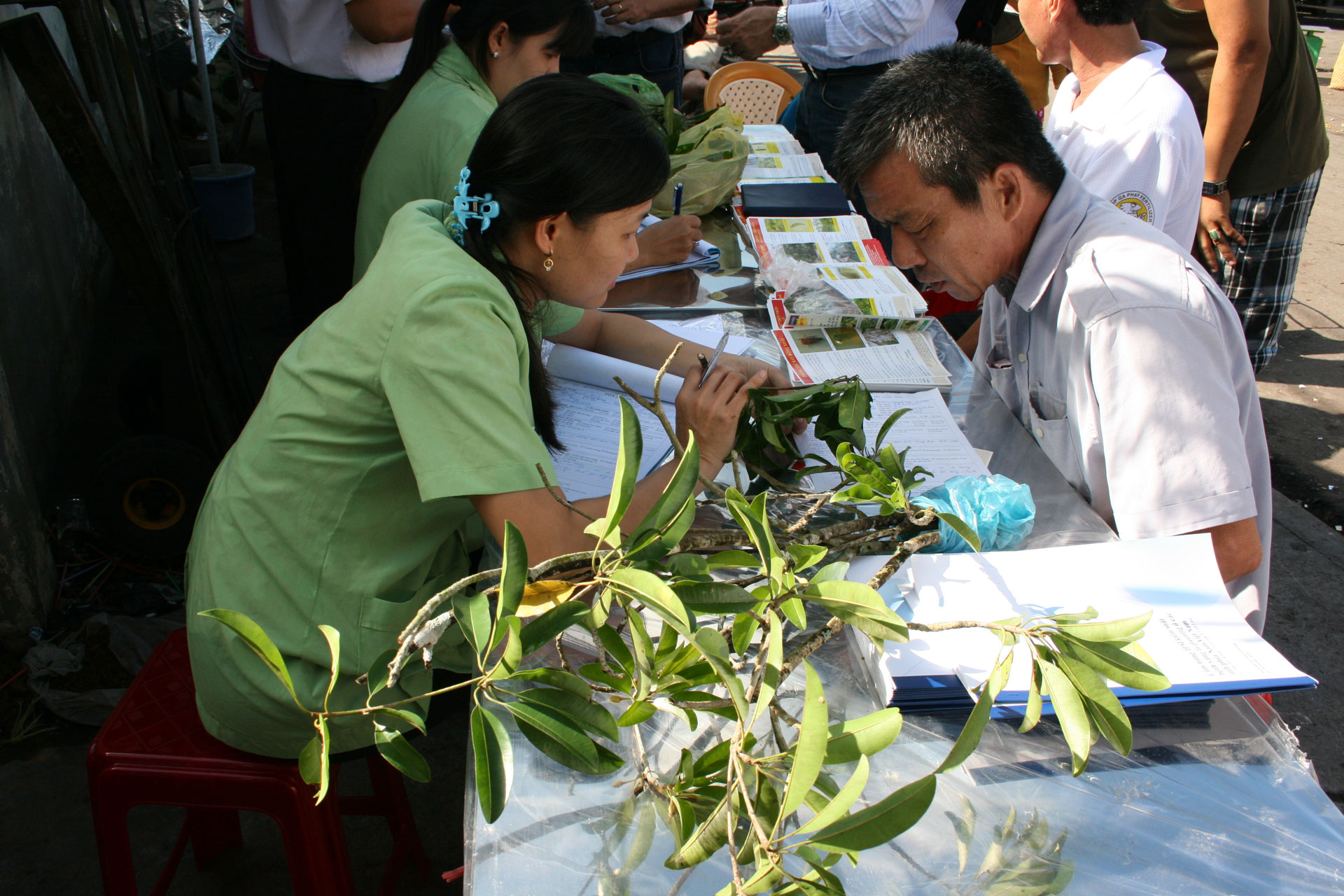 Vietnam plant clinic