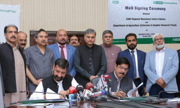 Pakistan PW MoU