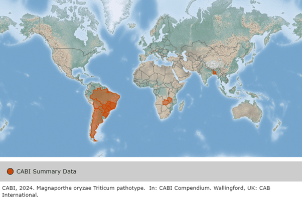 Global spread of Wheat Blast in 2023. Copyright: CABI