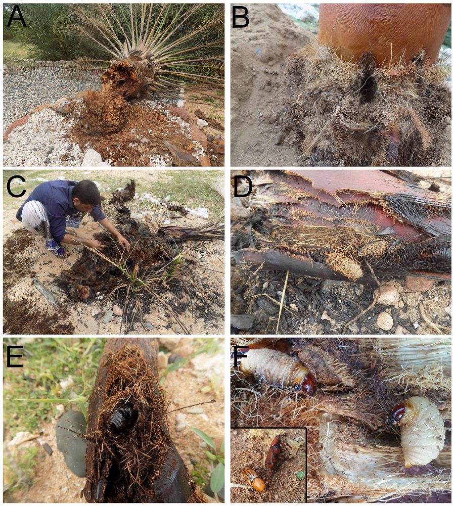 Witt et al_Figure 3 )