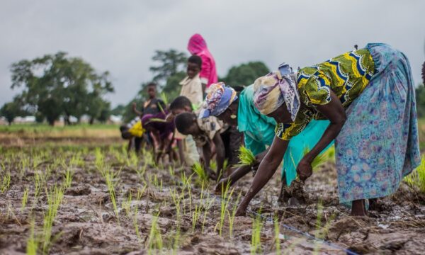 Women farmers in Ghana2 083