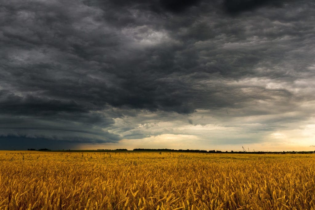 Dark storm cloud above field