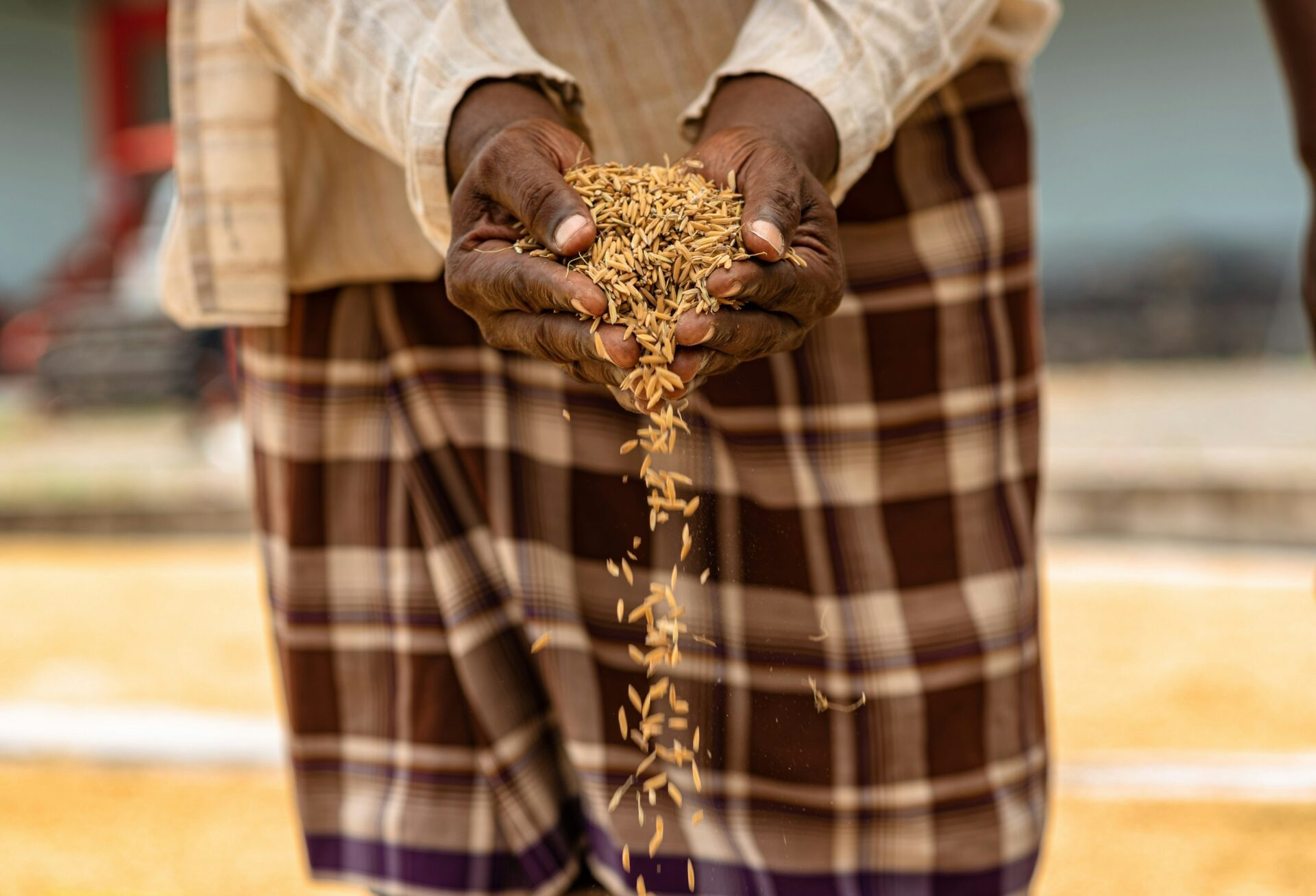 ali-mkumbwa-aMAoLRaZXZg-unsplash