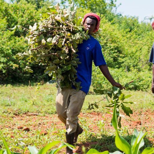 African-farmers-in-field-4.3