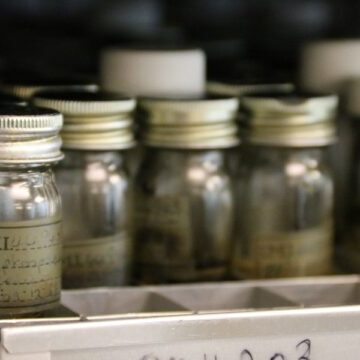 2019 Review Conference delegate Science Tour of CABI's Egham Office