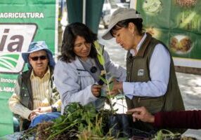 Plantwise Peru