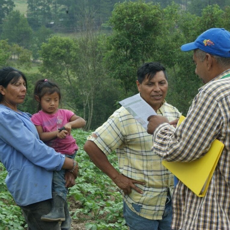 Plant health conference in Intibuca Family in field with plant doctor giving advice