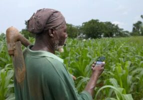 CABI’s Horizon Scanning Tool and Pest Risk Analysis Tool were launched in 2018 and 2019, respectively, and have since undergone enhancements to improve their design, usability and technical content in response to user needs.