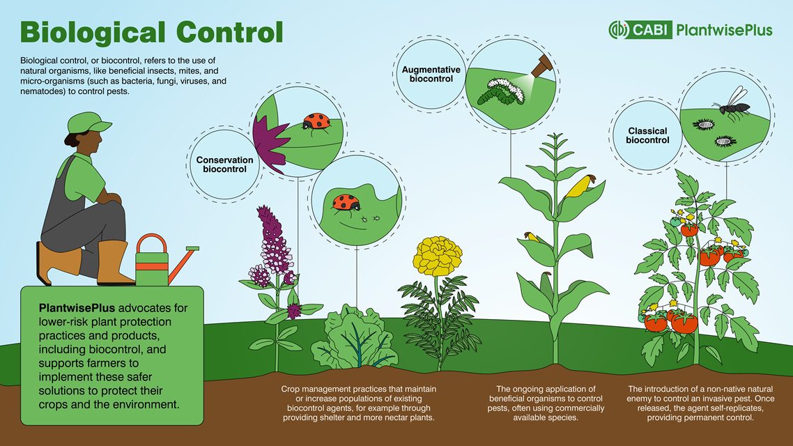 biocontrolinfographic_Cover